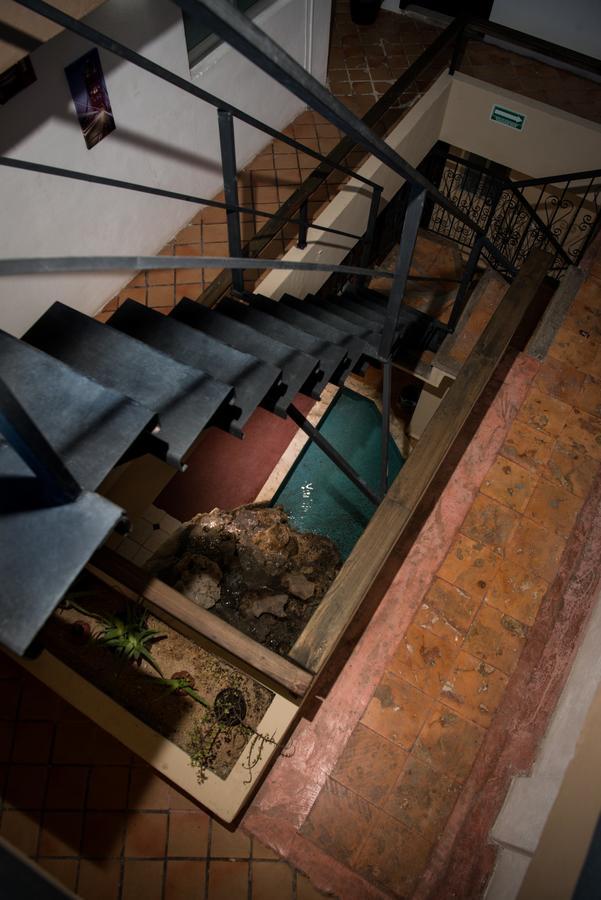 Deja Hostel Πλάγια Ντελ Κάρμεν Εξωτερικό φωτογραφία